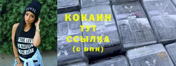 дурь Новодвинск